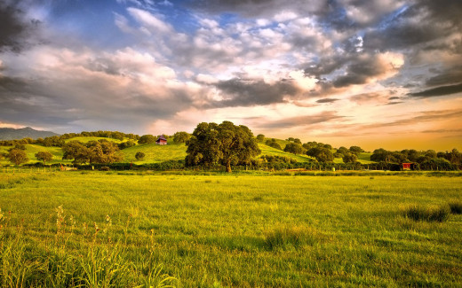 465255 (a): :2560x1600